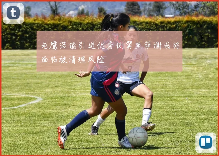 老鹰若能引进优秀侧翼里萨谢或将面临被清理风险