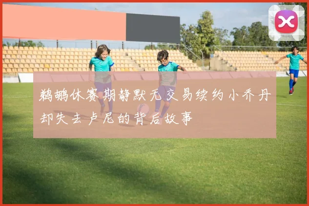 鹈鹕休赛期静默无交易续约小乔丹却失去卢尼的背后故事