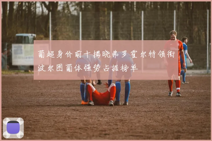 葡超身价前十揭晓弗罗霍尔特领衔波尔图葡体强势占据榜单